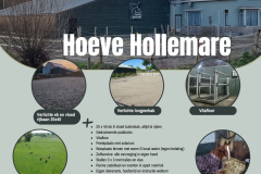 Hoeve Hollemare (Instagram-bericht (Vierkant)) - 1